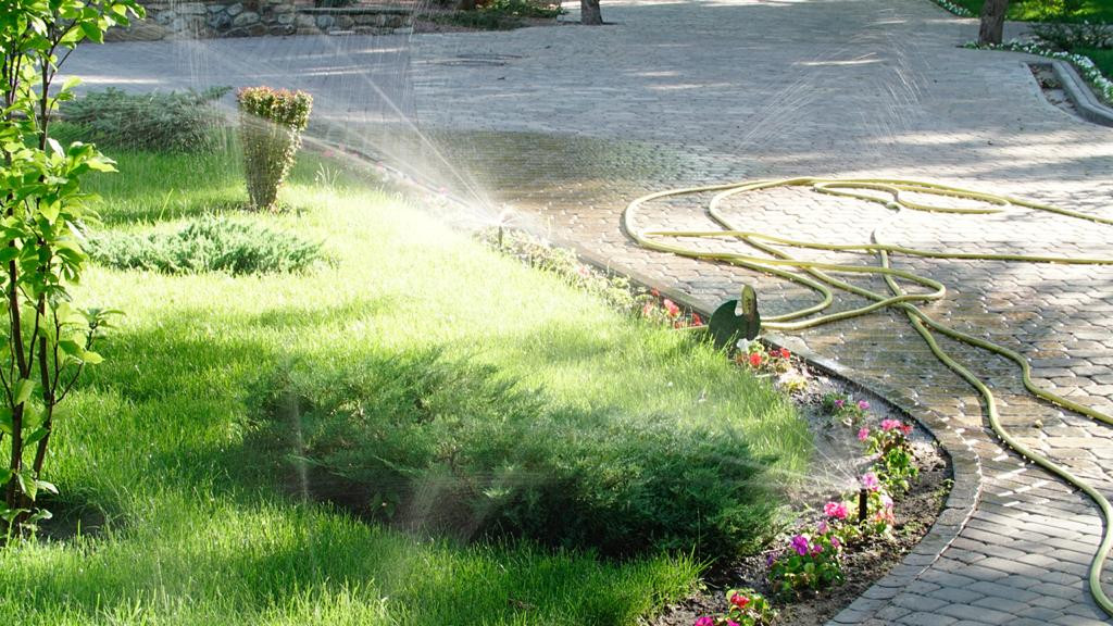 Парк Лога (Ростовская область)