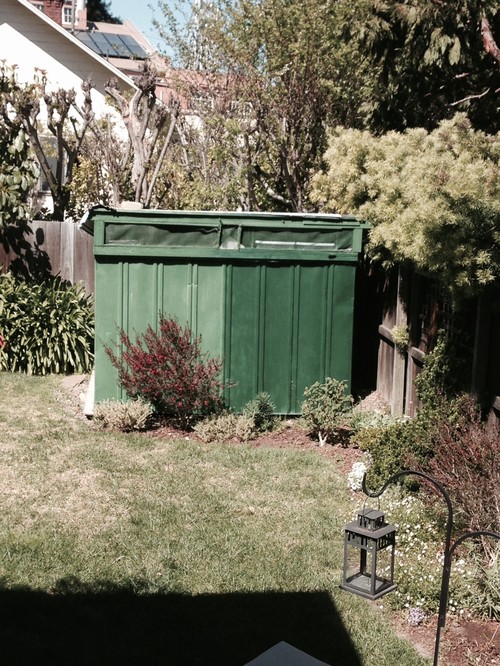 What color should I paint the shed?