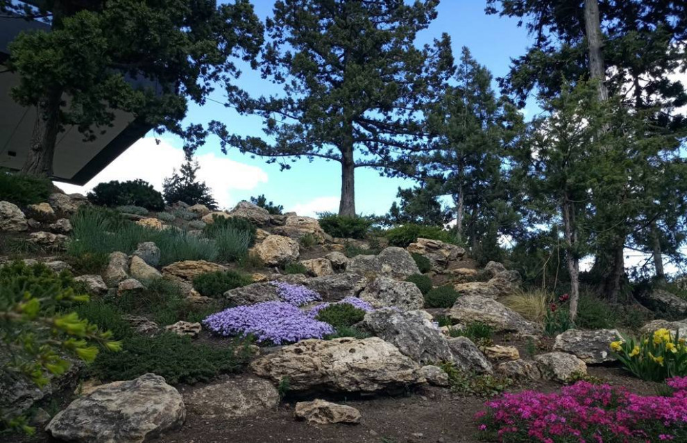 Imagen de jardín de secano mediterráneo grande en verano en ladera con roca decorativa, exposición total al sol y con piedra