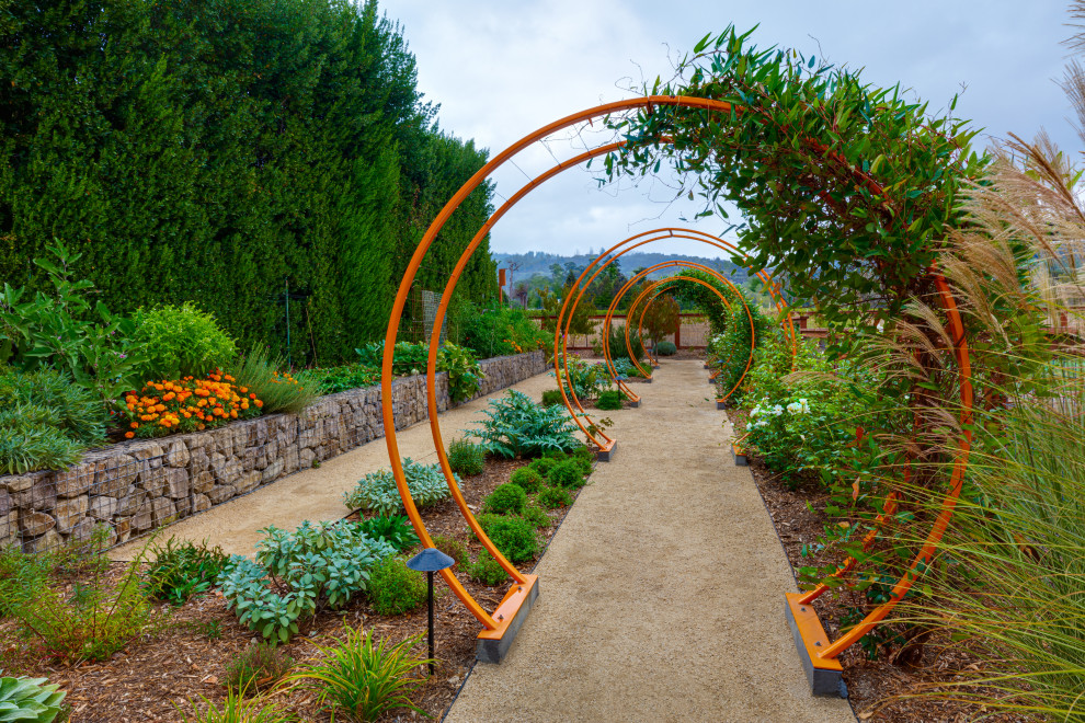 Inspiration for a contemporary full sun garden in San Francisco with gravel.