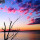wayne_simpson59