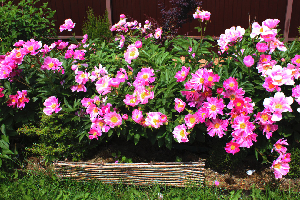 Проект благоустройства и озеленения территории в Подмосковье