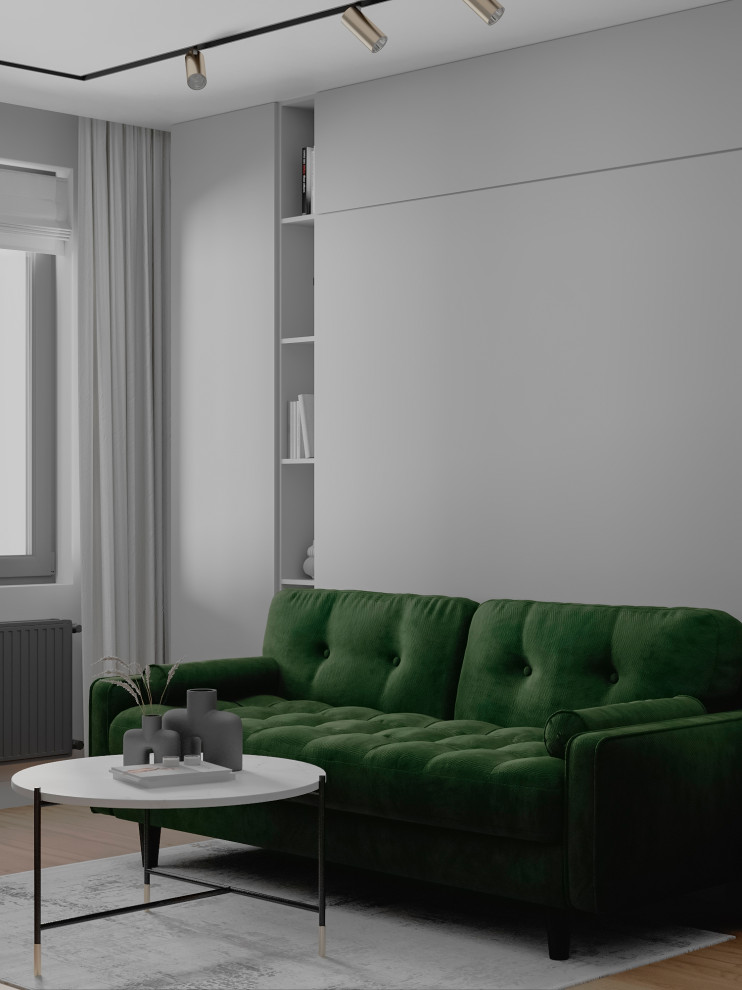 Гостиная-спальня