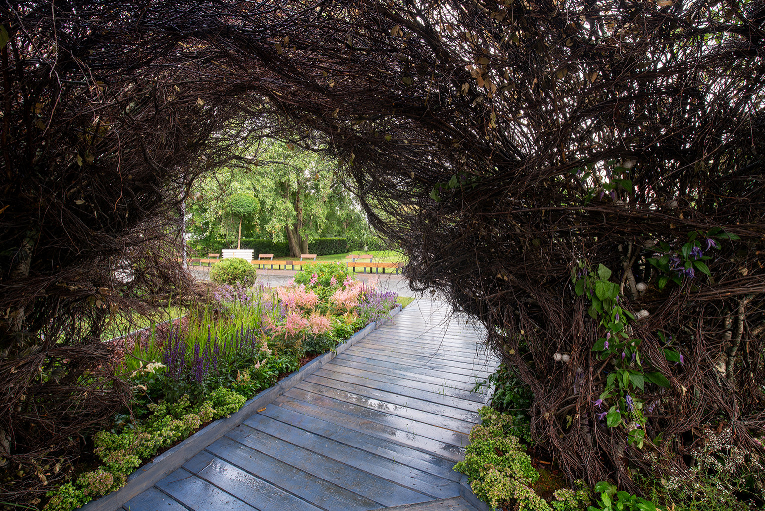 Фотосъемка Сада   по  Метрелинку на MFS 2019 Авторы М,Береснева М. ПРИНТЦ