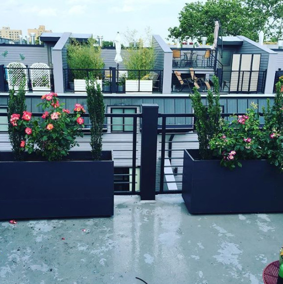 South Philadelphia Roof Garden
