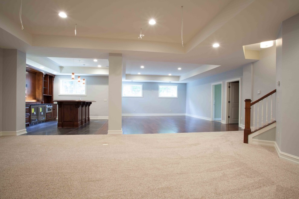 Transitional basement photo in Milwaukee