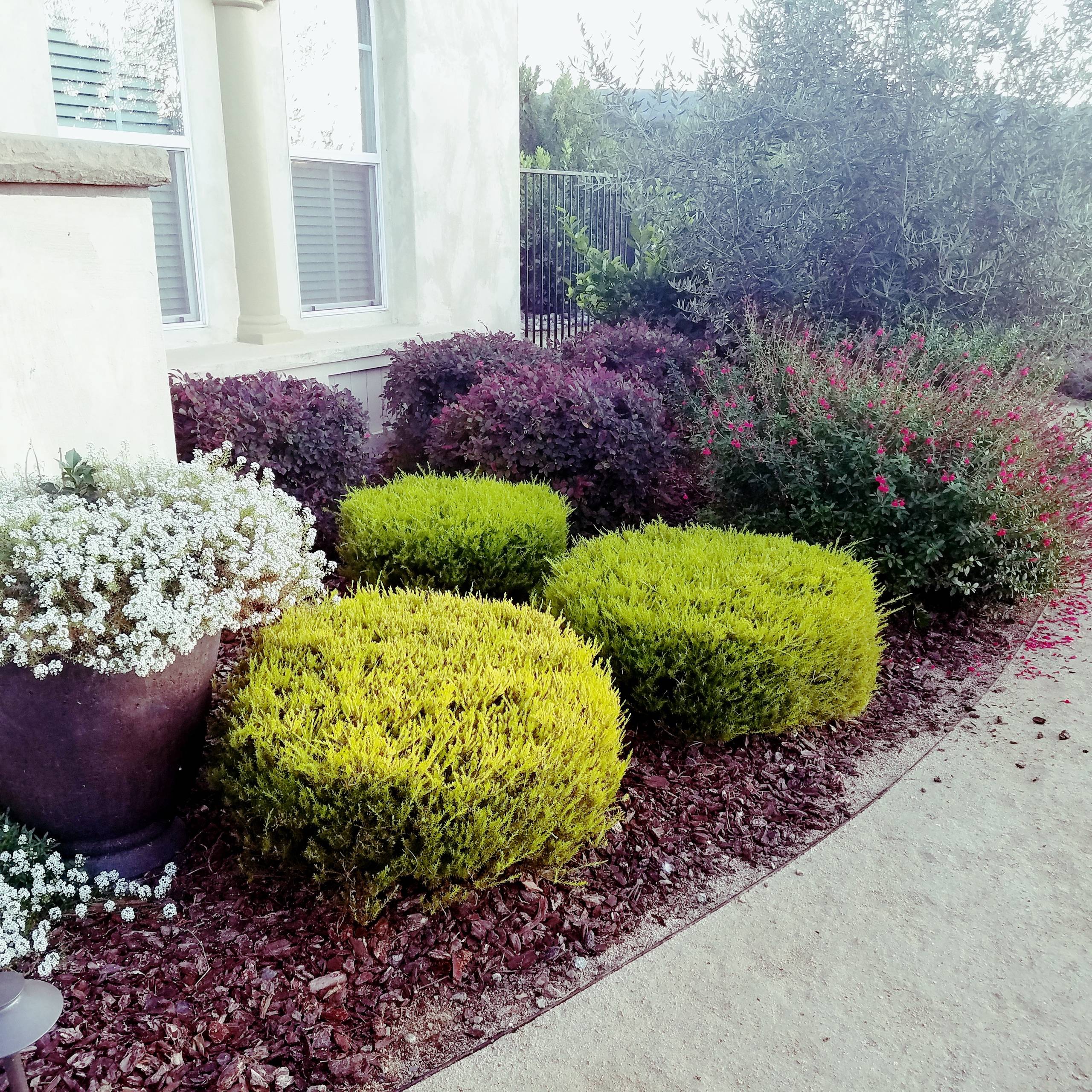 Gilroy CA