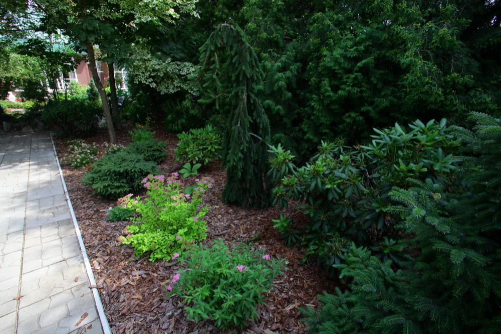 Ильинка. Реконструкция сада