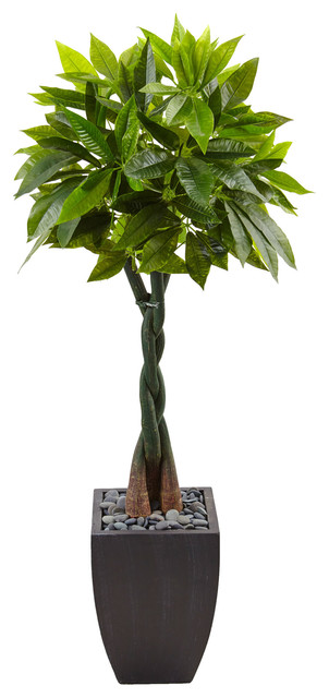 5 Money Artificial Tree Black Square Planter Contemporary 5 Money Artificial Tree Black Square Planter