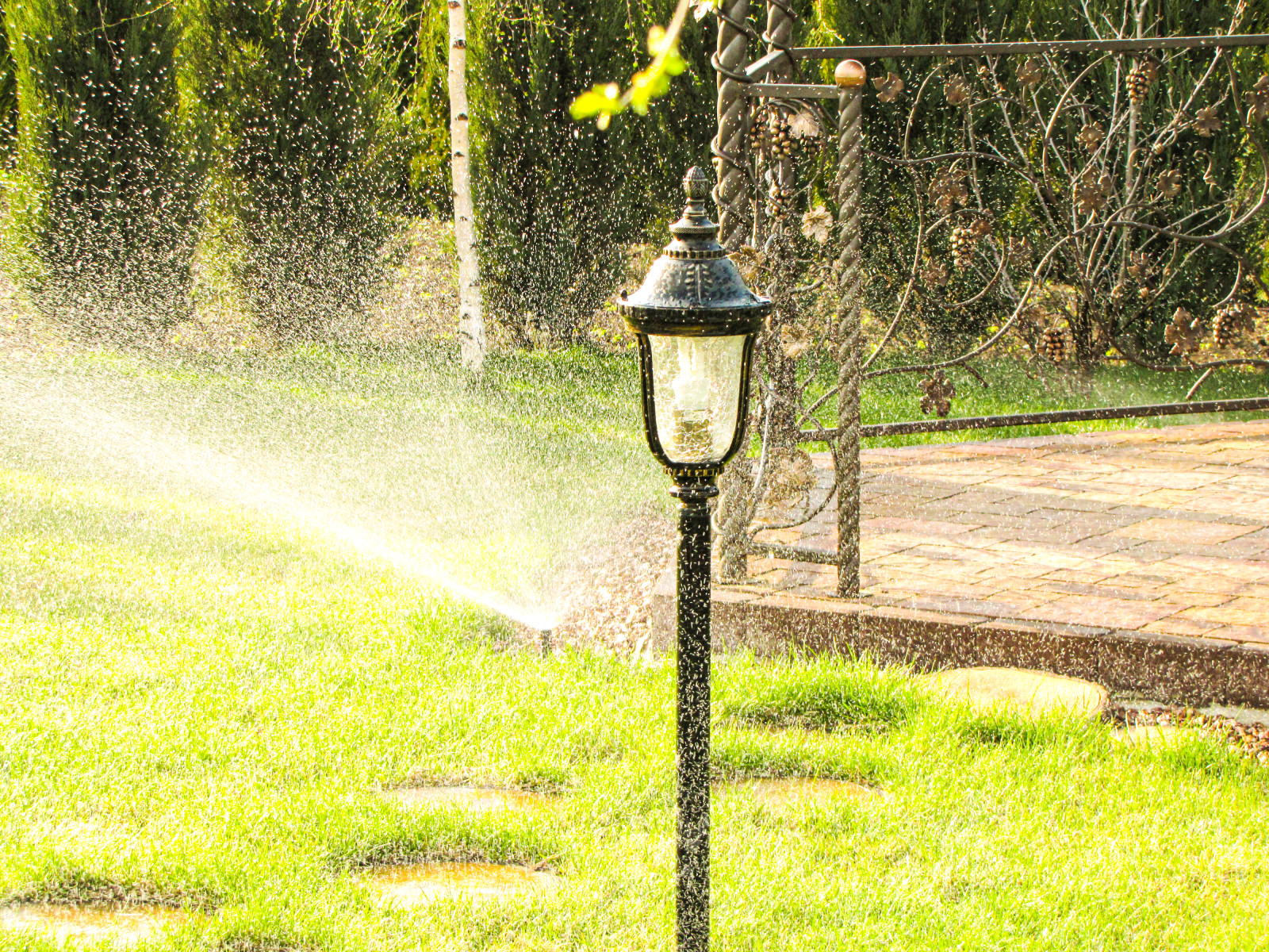 Обустройство участка в Приморском районе, Санкт-Петербурга
