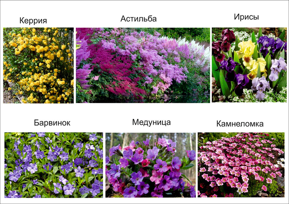 Галицино благоустройство и озеленение