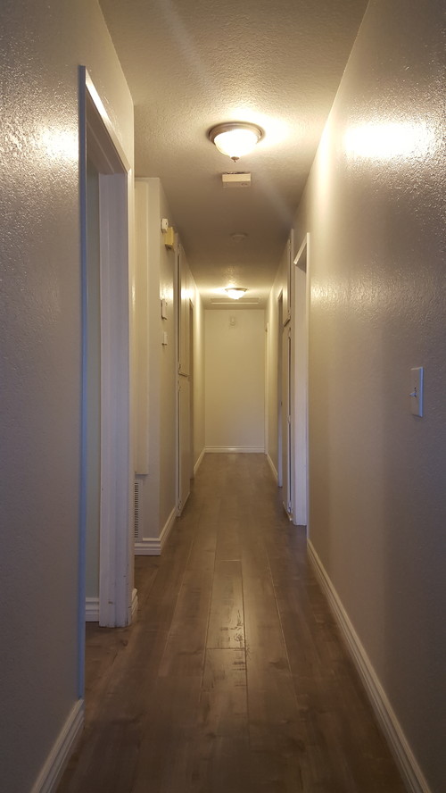 Long Hallway design ideas