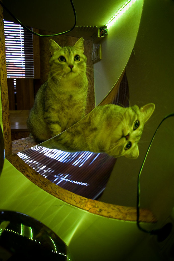 "лишняя" комната