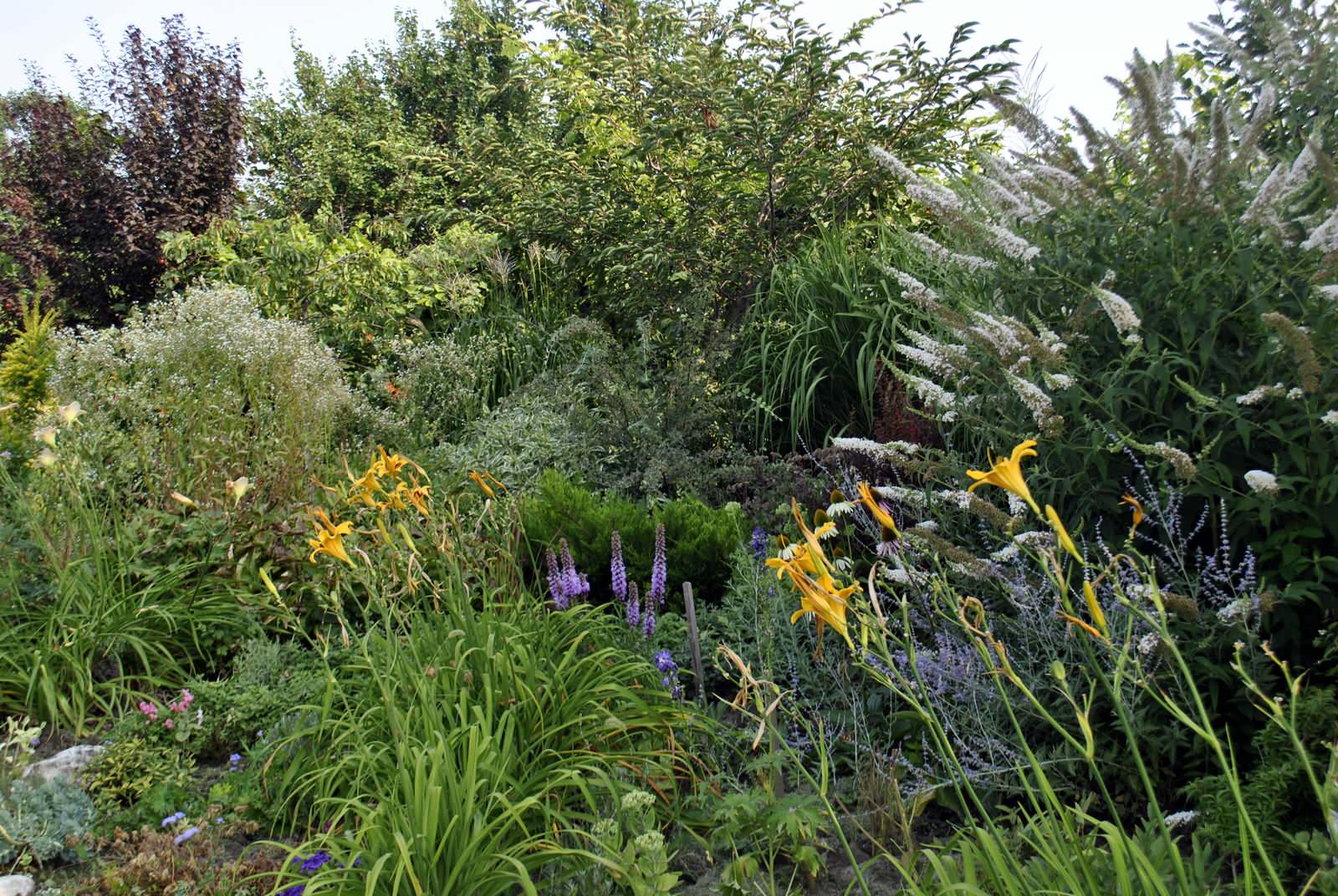 Сад над морем