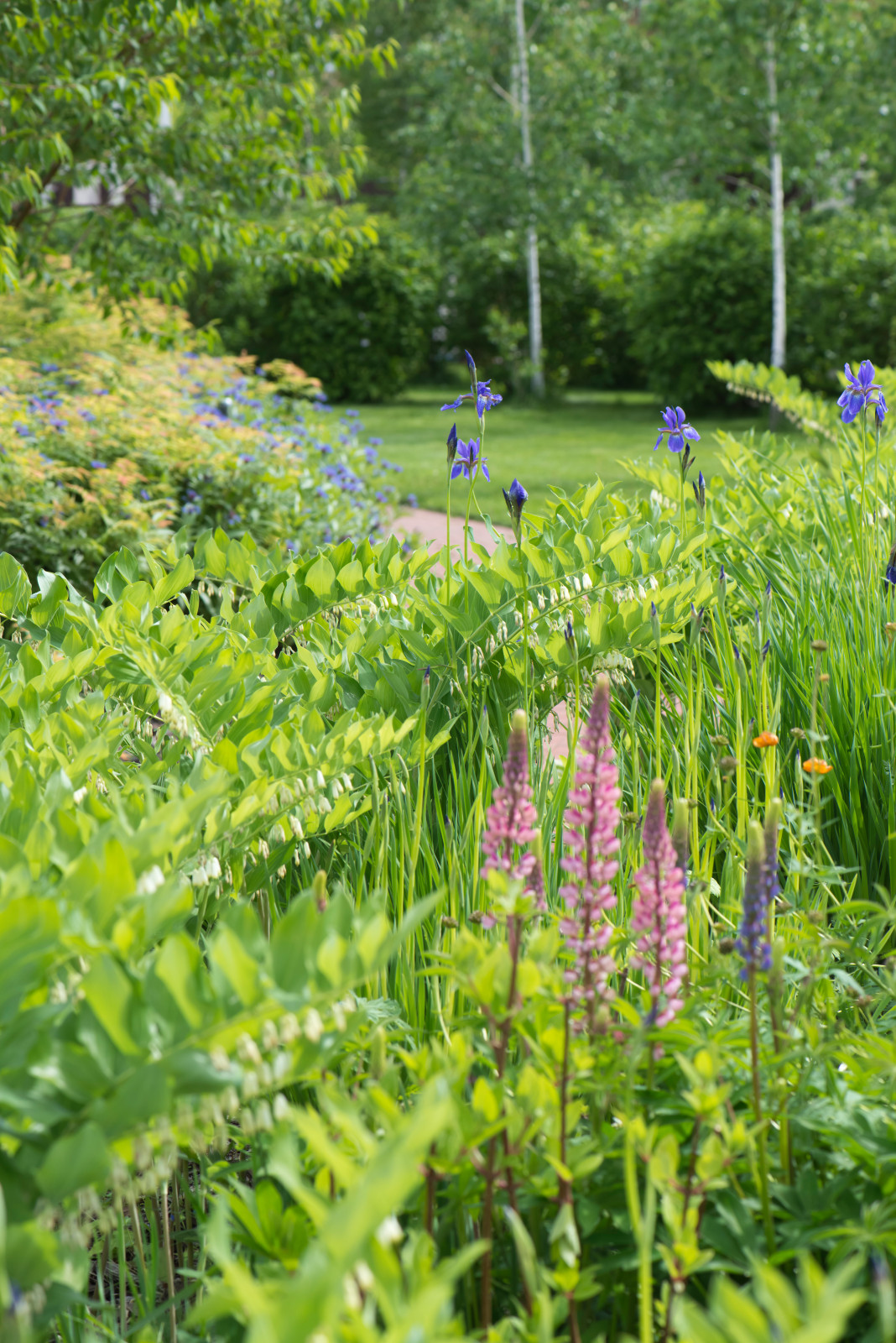 Большой сад в пригороде