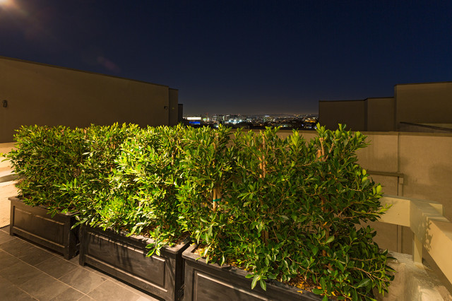 8960 Cynthia Street #305 contemporary-terrace