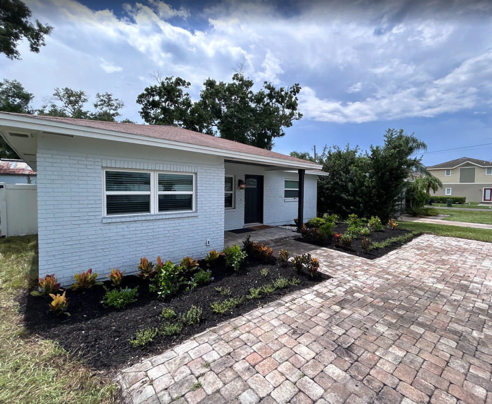 Black Mulch and New Plants