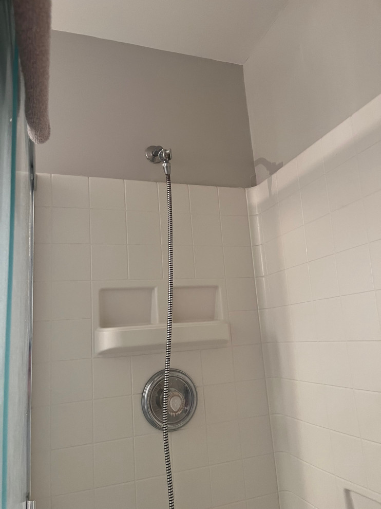 Master Bathroom Remodel