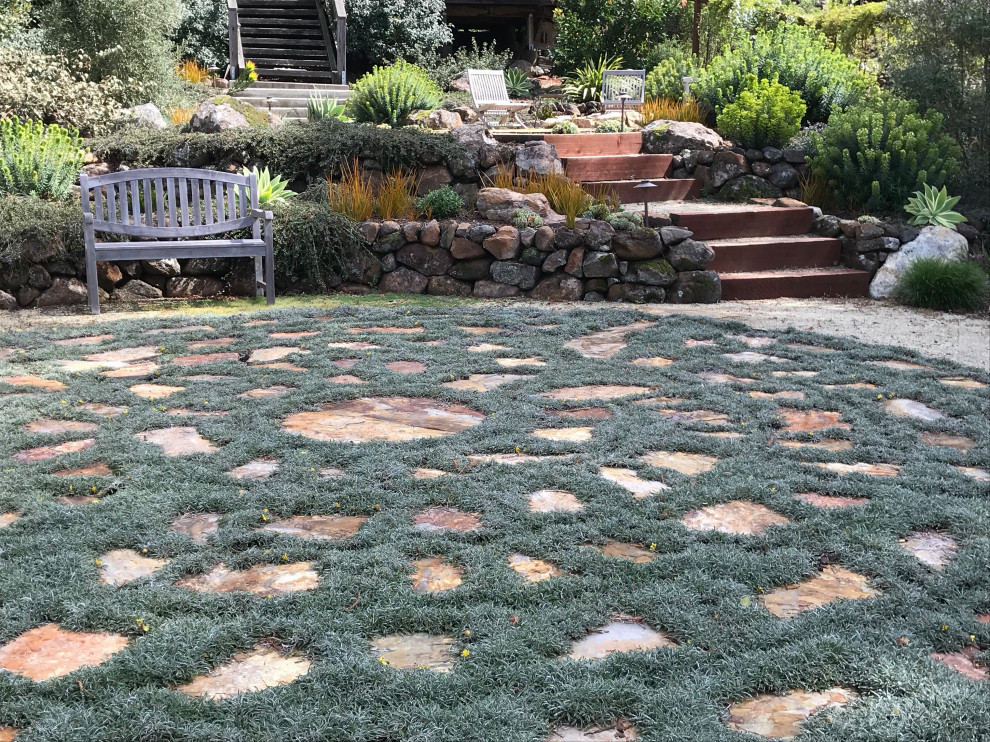 Large contemporary backyard full sun xeriscape in San Francisco with a fire feature and natural stone pavers for spring.