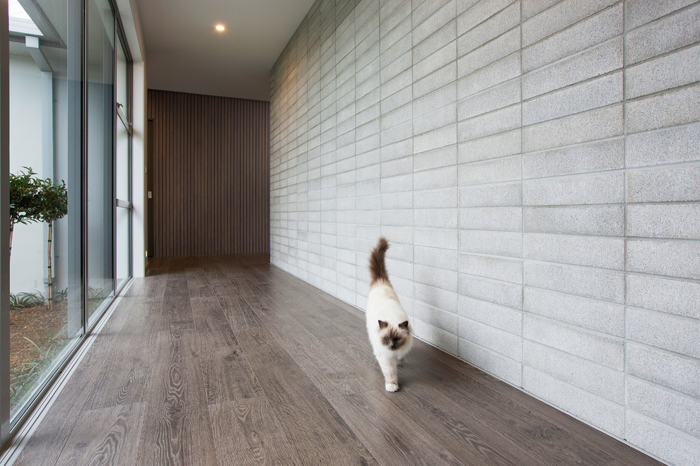 This is an example of a contemporary hallway in Other.