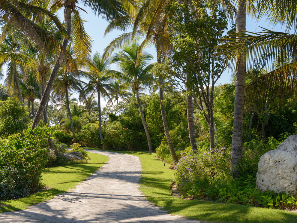 Photo of a tropical garden in Miami.