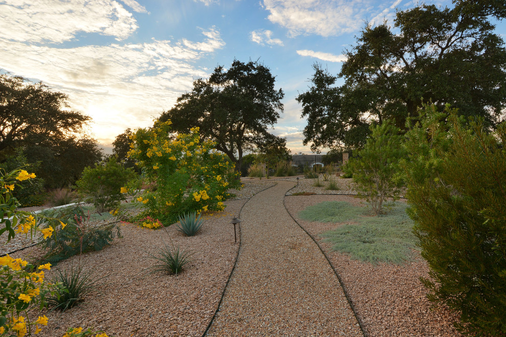 This is an example of a mid-sized modern front yard full sun xeriscape in Austin with gravel.