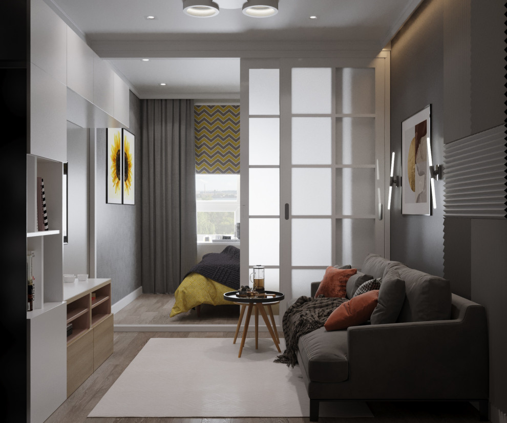 Гостиная совмещенная с солнечной спальней