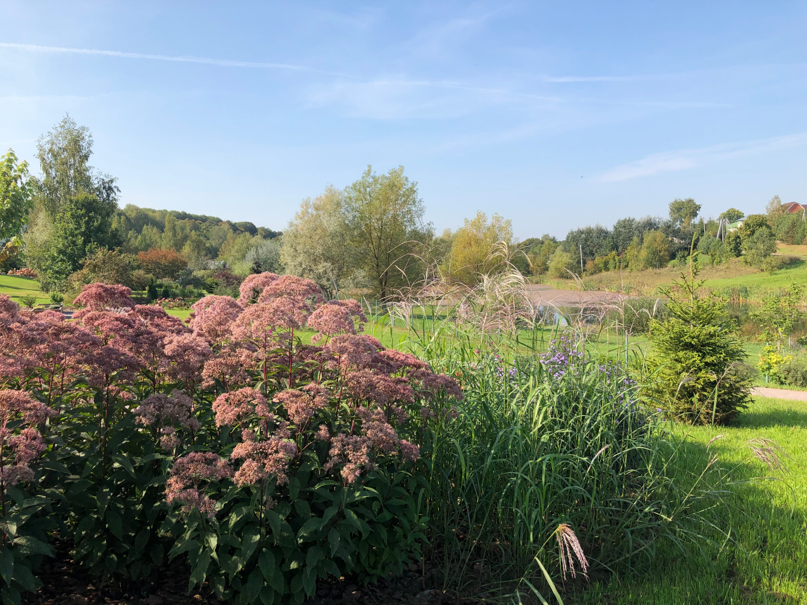 Якшино. Осень 2019