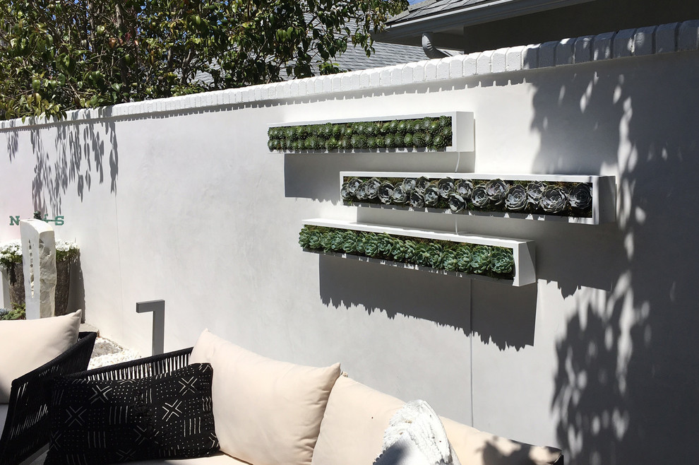 Photo of a mid-sized modern backyard xeriscape in Other with a vertical garden.
