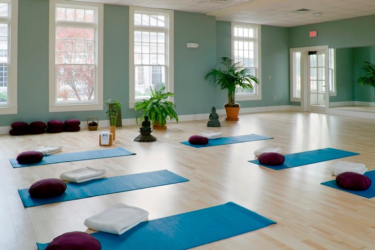 Expansive traditional home yoga studio in Boston with light hardwood floors and green walls.
