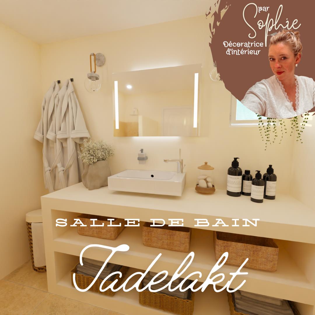 Salle de bain tadelakt par sophie monnet décoratrice d'intérieur puisaye yonne bourgogne france modélisation 3D