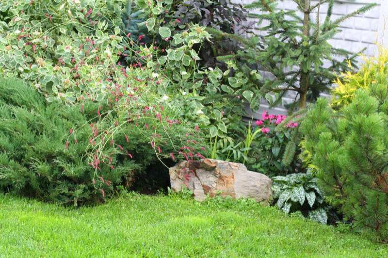 Ландшафтный дизайн