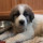 dave_moore58