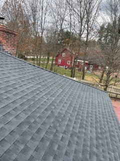 New Roof and Re Plywood