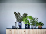 Chi sono i Plantfluencer e Perché il Giardinaggio Adesso è Indoor (12 photos) - image  on http://www.designedoo.it
