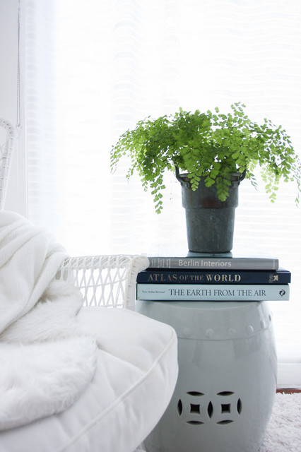 patterdale terrier puppies for sale near me