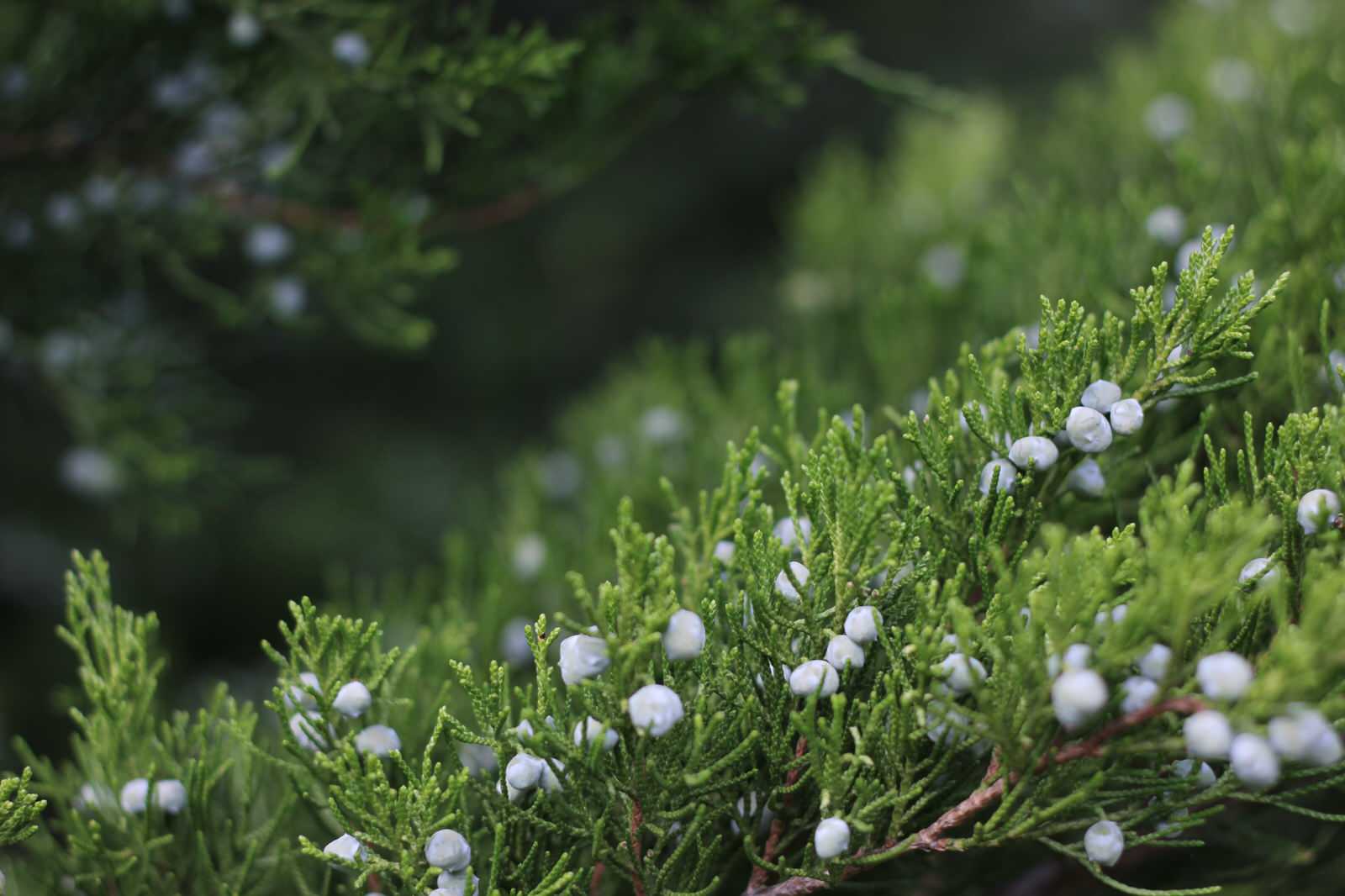 Ландшафт в деталях