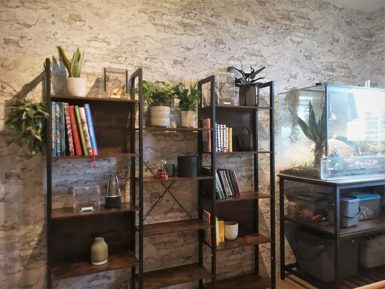 КОМНАТА ДЛЯ ПОДРОСТКА И ЕГО ПИТОМЦЕВ