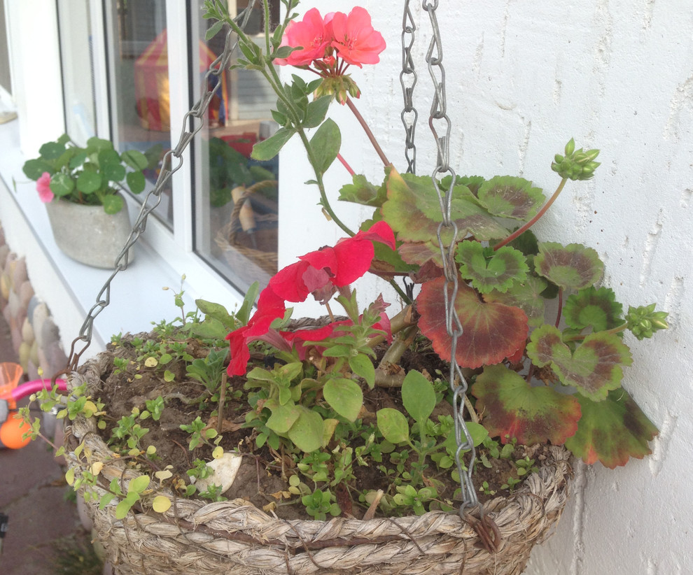 Весёлая деревня