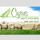 Cyrus Lawn & Landscaping