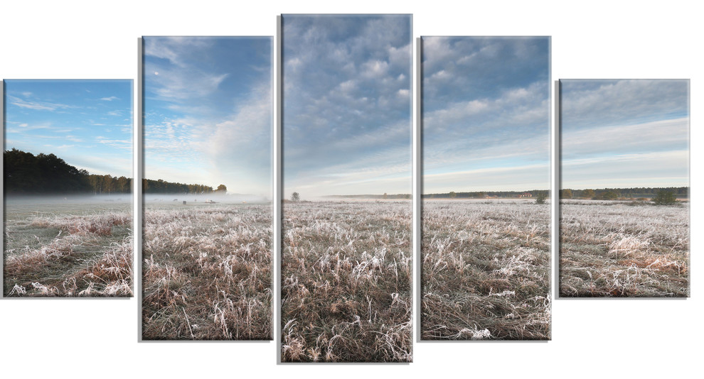 Autumn Hoarfrost On Grass Landscape Print Wall Artwork Contemporary Prints And Posters By Design Art Usa