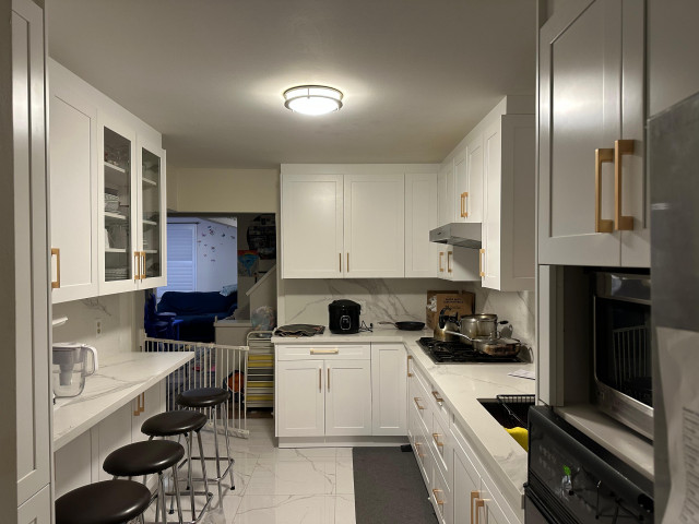 Condo modern-kitchen