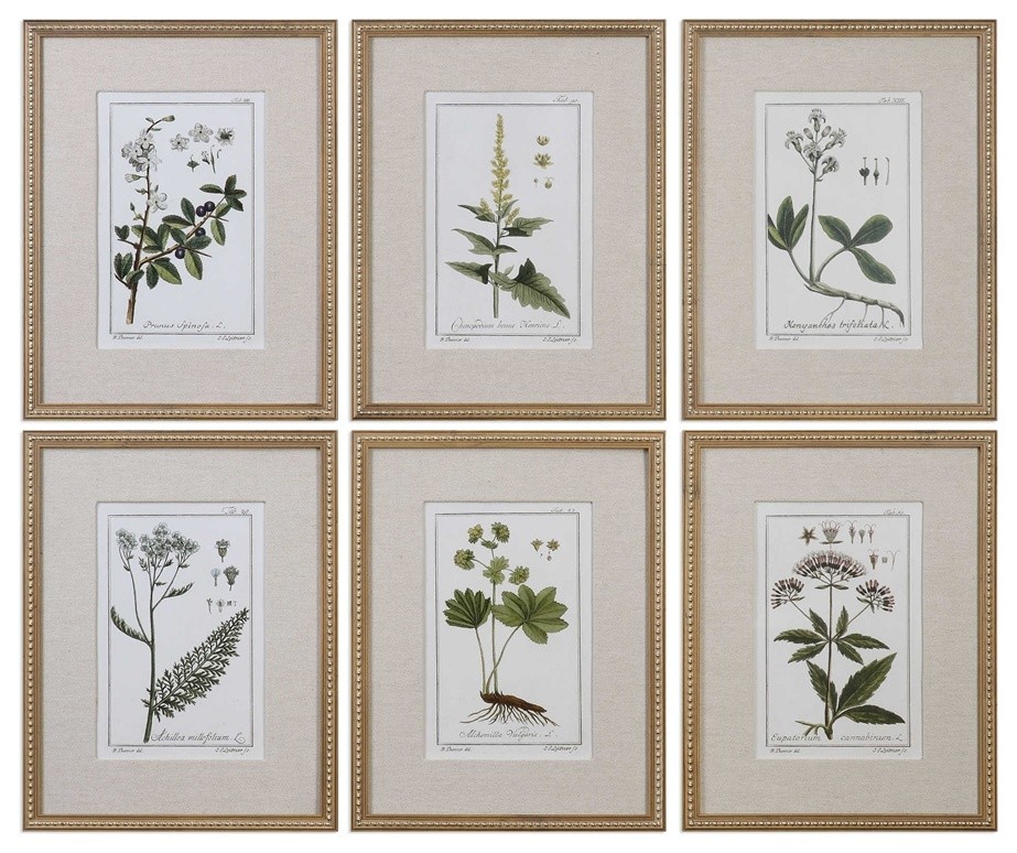 Green Floral Botanical Study Prints, Set of 6 Designed by Grace Feyock