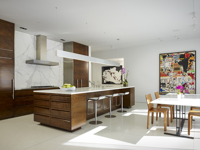 Northbrook House contemporary-kitchen