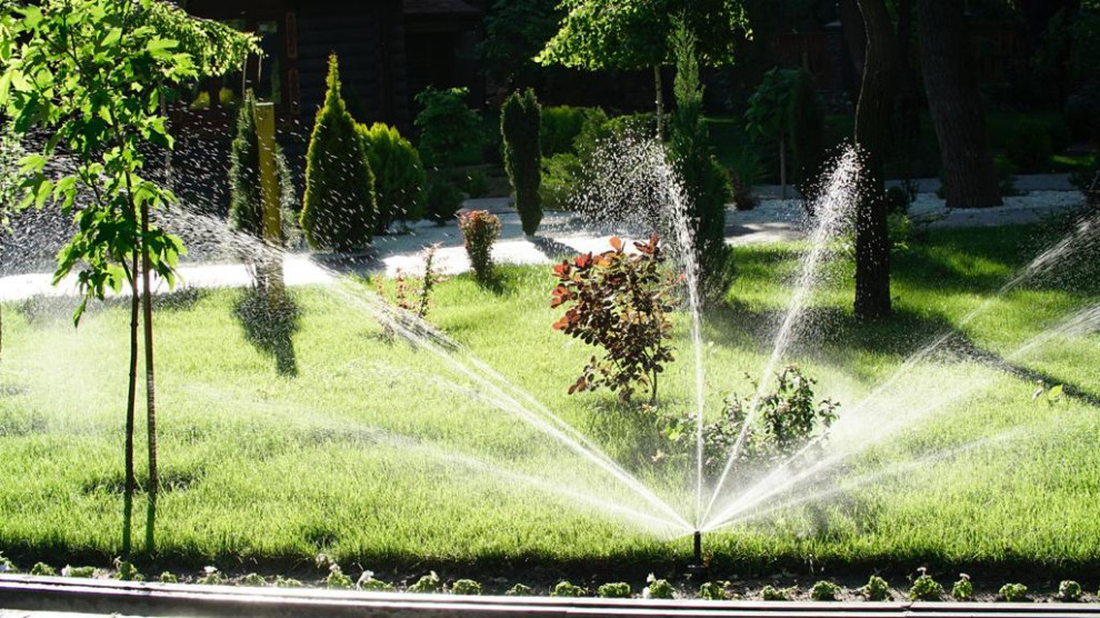 Парк Лога (Ростовская область)