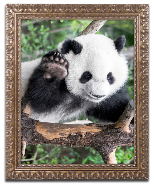 Philippe Hugonnard 'Giant Panda V' Ornate Framed Art, 20"x16"