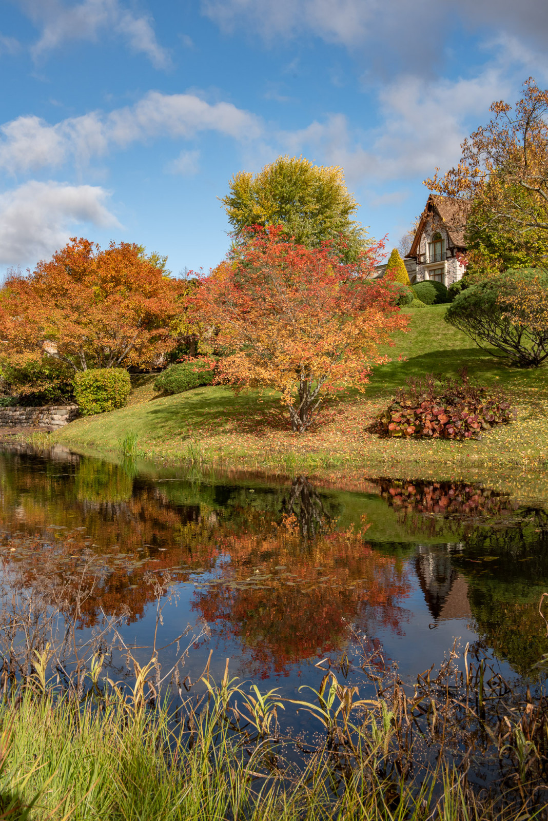 Ореховно. Музей-Усадьба.