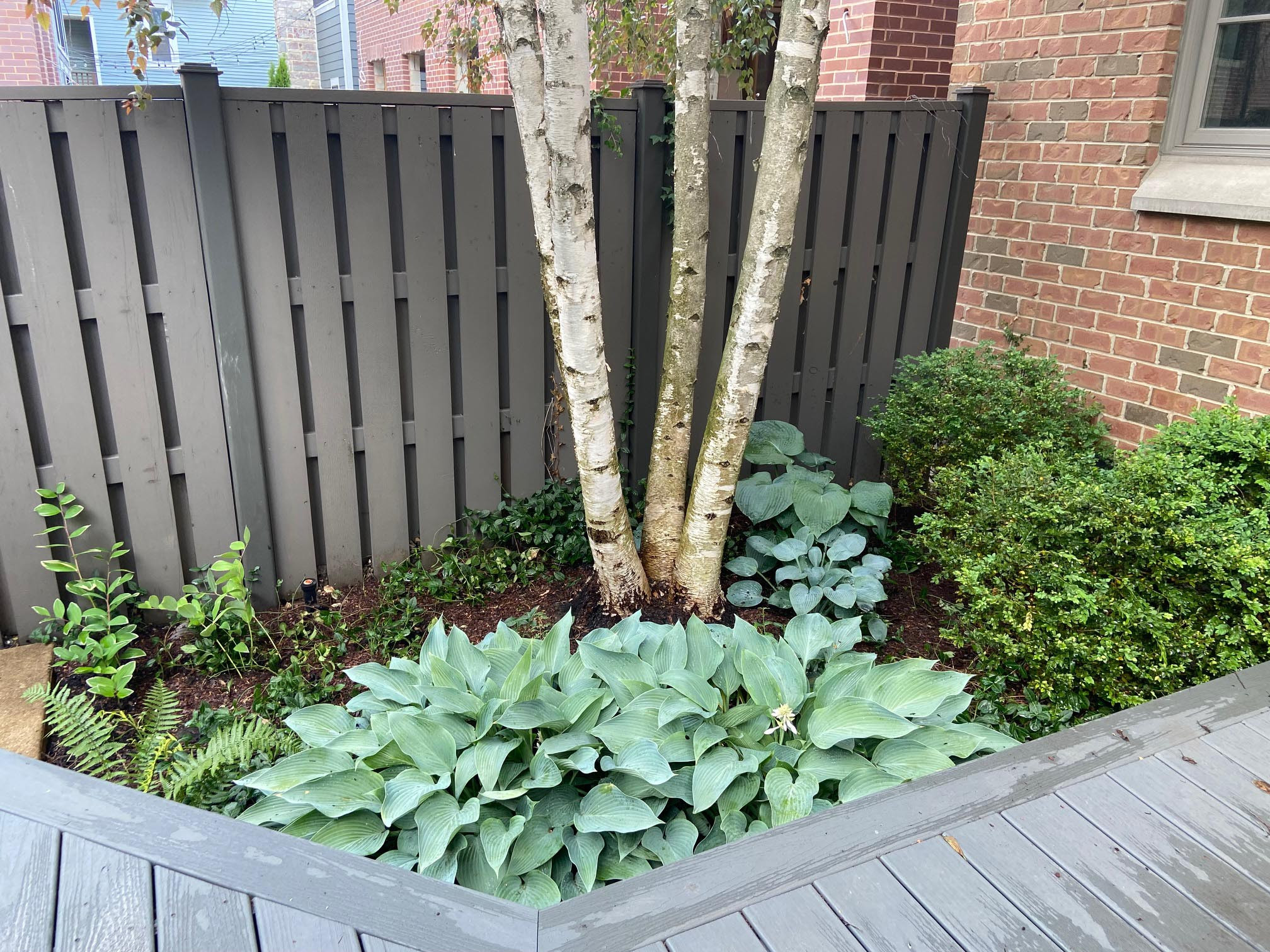 Fine Tuning an Established Garden
