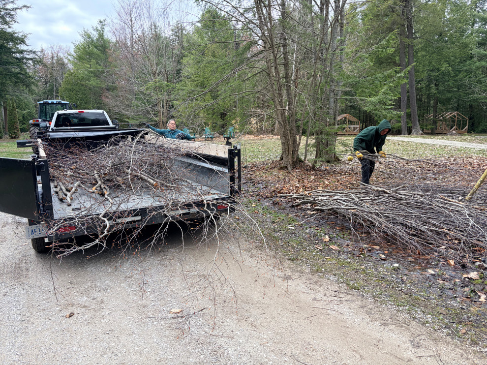 Land Clearing
