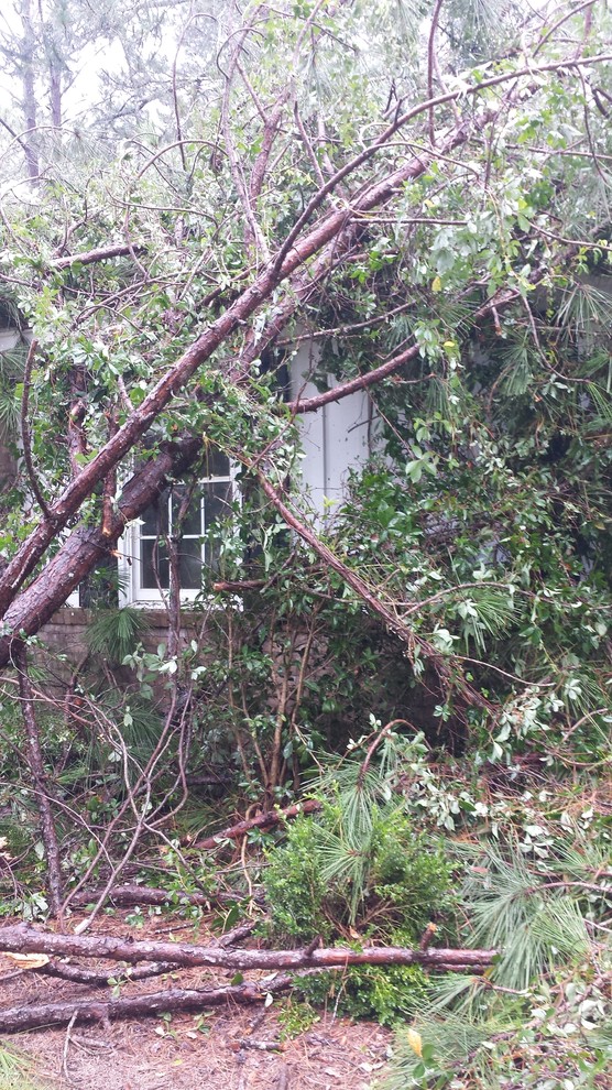 Our weather is nuts, but my cuttings survived!! lol